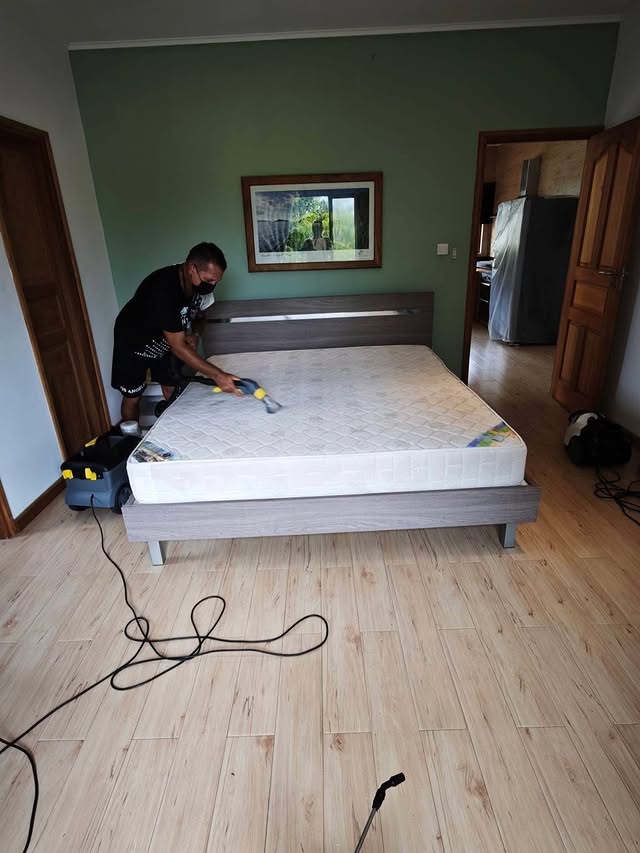 Mattress deep cleaning