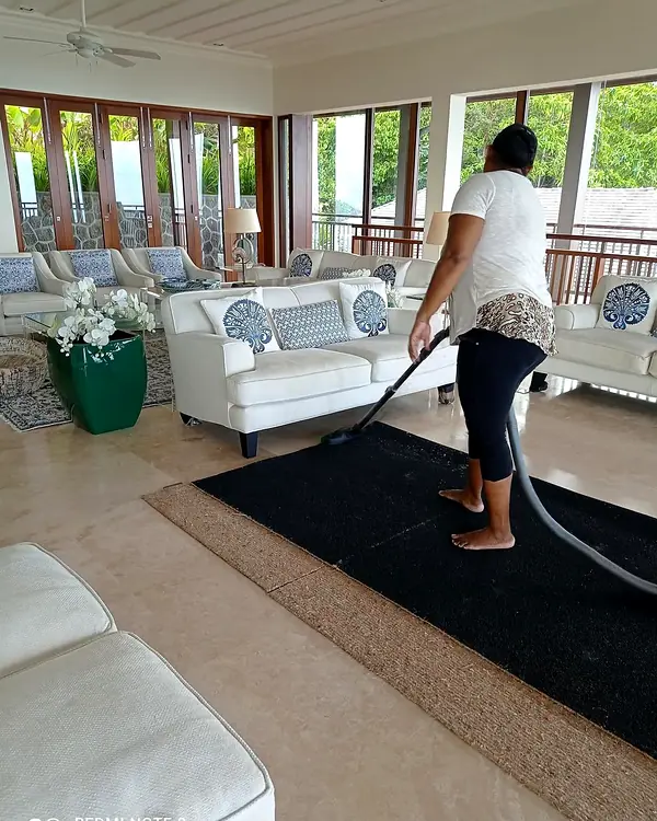 Carpet vacuuming in a villa in Glacis, Mahé