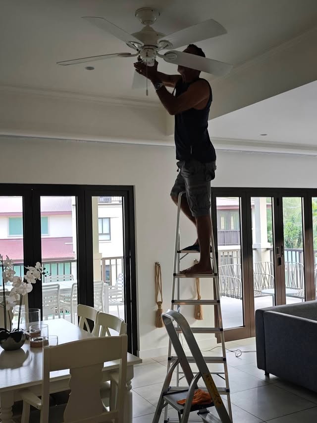 Ceiling fan cleaning